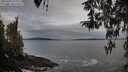 ./images/koeye/fitz-hugh/20260401/fitz-hugh20260401_080001M.jpg
