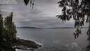 ./images/koeye/fitz-hugh/20260401/fitz-hugh20260401_080501M.jpg