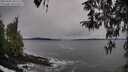./images/koeye/fitz-hugh/20260401/fitz-hugh20260401_095501M.jpg