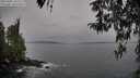./images/koeye/fitz-hugh/20260401/fitz-hugh20260401_155502M.jpg