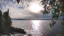 ./images/koeye/fitz-hugh/20260401/fitz-hugh20260401_175501M.jpg