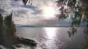 ./images/koeye/fitz-hugh/20260401/fitz-hugh20260401_180001M.jpg