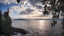 ./images/koeye/fitz-hugh/20260401/fitz-hugh20260401_183502M.jpg