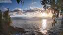 ./images/koeye/fitz-hugh/20260401/fitz-hugh20260401_190501M.jpg