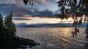 ./images/koeye/fitz-hugh/20260401/fitz-hugh20260401_193501M.jpg