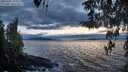 ./images/koeye/fitz-hugh/20260401/fitz-hugh20260401_194002M.jpg