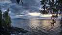 ./images/koeye/fitz-hugh/20260401/fitz-hugh20260401_200501M.jpg