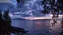 ./images/koeye/fitz-hugh/20260401/fitz-hugh20260401_203001M.jpg