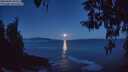 ./images/koeye/fitz-hugh/20260402/fitz-hugh20260402_062502M.jpg
