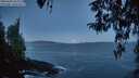 ./images/koeye/fitz-hugh/20260402/fitz-hugh20260402_064002M.jpg