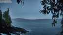 ./images/koeye/fitz-hugh/20260402/fitz-hugh20260402_064501M.jpg