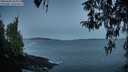 ./images/koeye/fitz-hugh/20260402/fitz-hugh20260402_065002M.jpg