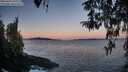 ./images/koeye/fitz-hugh/20260402/fitz-hugh20260402_071001M.jpg