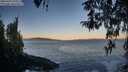 ./images/koeye/fitz-hugh/20260402/fitz-hugh20260402_073501M.jpg