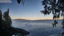 ./images/koeye/fitz-hugh/20260402/fitz-hugh20260402_074501M.jpg