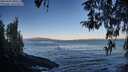./images/koeye/fitz-hugh/20260402/fitz-hugh20260402_080501M.jpg