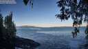 ./images/koeye/fitz-hugh/20260402/fitz-hugh20260402_081001M.jpg