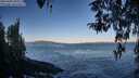 ./images/koeye/fitz-hugh/20260402/fitz-hugh20260402_081501M.jpg