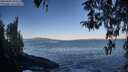 ./images/koeye/fitz-hugh/20260402/fitz-hugh20260402_082501M.jpg