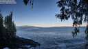 ./images/koeye/fitz-hugh/20260402/fitz-hugh20260402_083001M.jpg