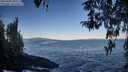 ./images/koeye/fitz-hugh/20260402/fitz-hugh20260402_083501M.jpg