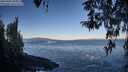 ./images/koeye/fitz-hugh/20260402/fitz-hugh20260402_084001M.jpg
