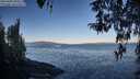 ./images/koeye/fitz-hugh/20260402/fitz-hugh20260402_084502M.jpg