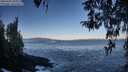 ./images/koeye/fitz-hugh/20260402/fitz-hugh20260402_085001M.jpg