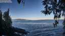 ./images/koeye/fitz-hugh/20260402/fitz-hugh20260402_085501M.jpg
