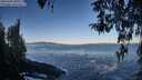 ./images/koeye/fitz-hugh/20260402/fitz-hugh20260402_090001M.jpg