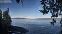 ./images/koeye/fitz-hugh/20260402/fitz-hugh20260402_091501M.jpg