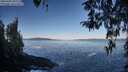 ./images/koeye/fitz-hugh/20260402/fitz-hugh20260402_092001M.jpg