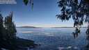 ./images/koeye/fitz-hugh/20260402/fitz-hugh20260402_093001M.jpg