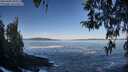 ./images/koeye/fitz-hugh/20260402/fitz-hugh20260402_093502M.jpg