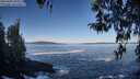 ./images/koeye/fitz-hugh/20260402/fitz-hugh20260402_094001M.jpg