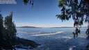 ./images/koeye/fitz-hugh/20260402/fitz-hugh20260402_094501M.jpg