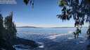 ./images/koeye/fitz-hugh/20260402/fitz-hugh20260402_095001M.jpg