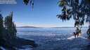 ./images/koeye/fitz-hugh/20260402/fitz-hugh20260402_095502M.jpg