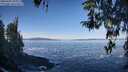 ./images/koeye/fitz-hugh/20260402/fitz-hugh20260402_100001M.jpg