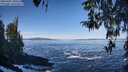 ./images/koeye/fitz-hugh/20260402/fitz-hugh20260402_100501M.jpg