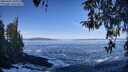 ./images/koeye/fitz-hugh/20260402/fitz-hugh20260402_101001M.jpg