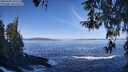 ./images/koeye/fitz-hugh/20260402/fitz-hugh20260402_101502M.jpg