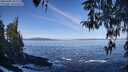 ./images/koeye/fitz-hugh/20260402/fitz-hugh20260402_102001M.jpg
