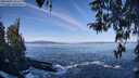 ./images/koeye/fitz-hugh/20260402/fitz-hugh20260402_102501M.jpg