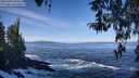 ./images/koeye/fitz-hugh/20260402/fitz-hugh20260402_103501M.jpg