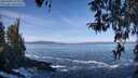 ./images/koeye/fitz-hugh/20260402/fitz-hugh20260402_104002M.jpg