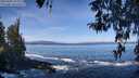 ./images/koeye/fitz-hugh/20260402/fitz-hugh20260402_105001M.jpg