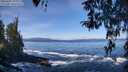 ./images/koeye/fitz-hugh/20260402/fitz-hugh20260402_105502M.jpg