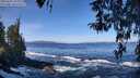 ./images/koeye/fitz-hugh/20260402/fitz-hugh20260402_110001M.jpg