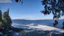 ./images/koeye/fitz-hugh/20260402/fitz-hugh20260402_111501M.jpg